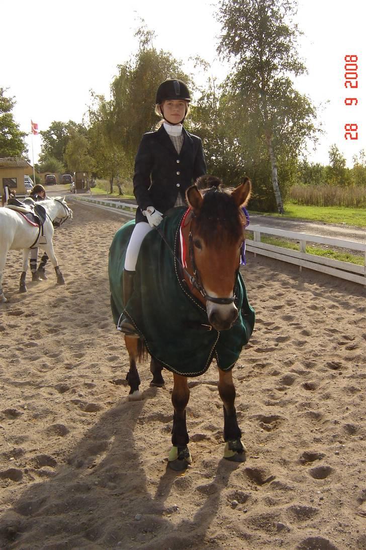 Anden særlig race Tue R.I.P billede 17