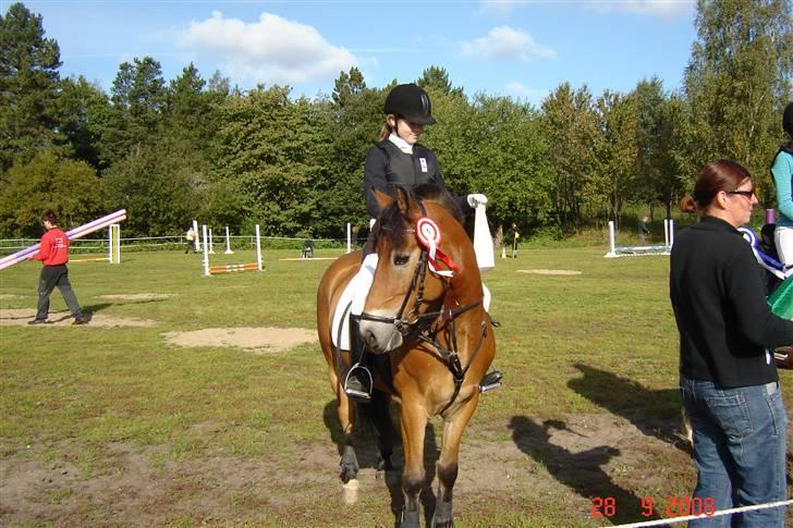 Anden særlig race Tue R.I.P - har lige fået 1.pladsen billede 18