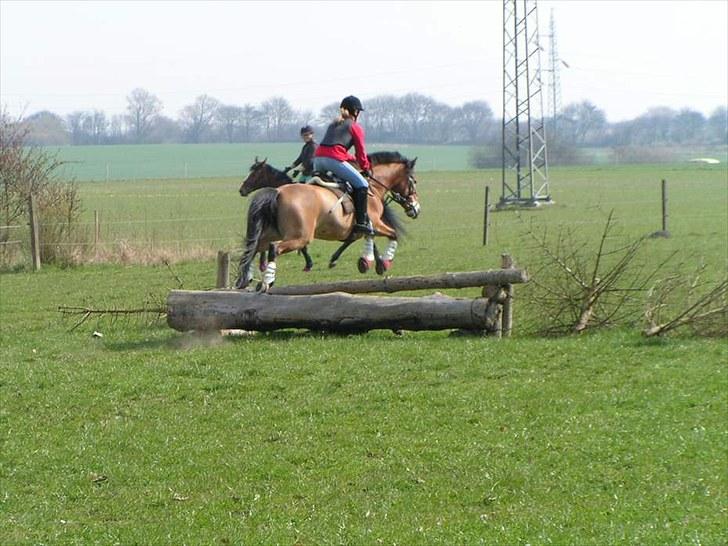 Anden særlig race Tue R.I.P billede 19