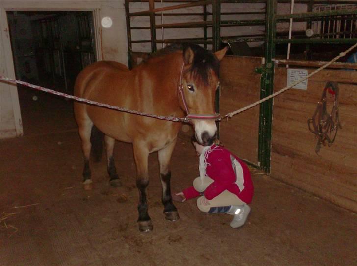 Anden særlig race Tue R.I.P billede 20