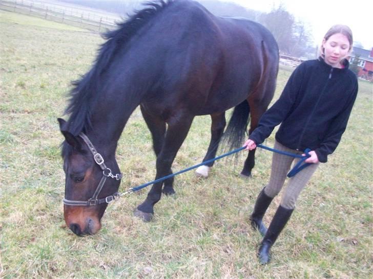 Anden særlig race Laurits (Kegle)   - Markerne !  billede 20