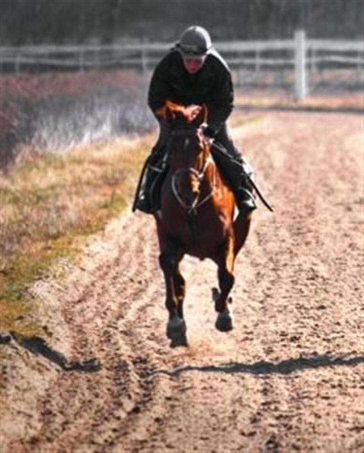 Fuldblod (XX) action time (Flyttet) billede 17