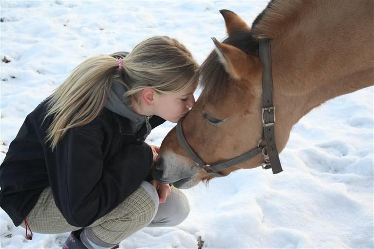 Anden særlig race Águst Kongerslev MITALT - SOLGT - Du har en selvstændighed der siger spar to, men det føldes alligevel som om du er sikker på at det er os to  billede 11