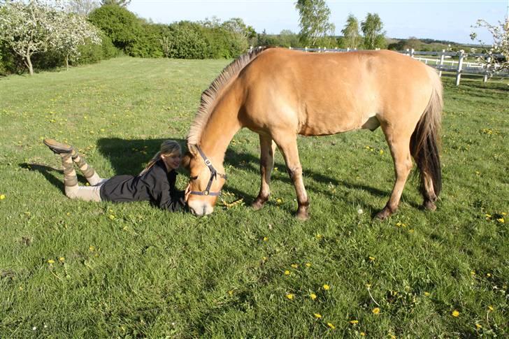 Anden særlig race Águst Kongerslev MITALT - SOLGT - En dejlig solskinsdag med Águst pony - foto kusine billede 12