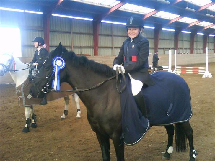 Welsh Pony (sec B) Callunas Keeshia billede 16