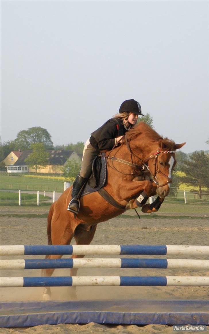 Anden særlig race Smarties R.I.P - Så godt et billed, elsker dig Smarties <33 billede 20