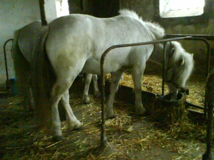 Anden særlig race Debbie - 13) Så æder vi lidt igen, igen xD. billede 13