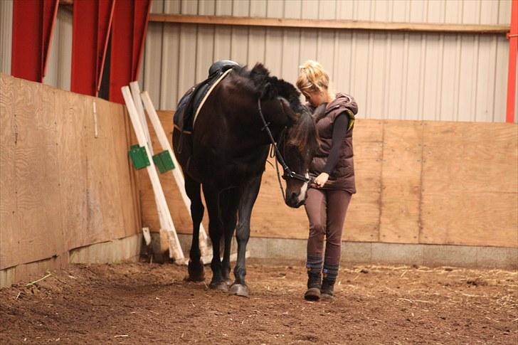 Anden særlig race SANTANA - Versade fra jorden, september 10 billede 9