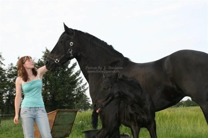 Frieser Quinty  - Quinty, Fenja og jeg.  billede 9