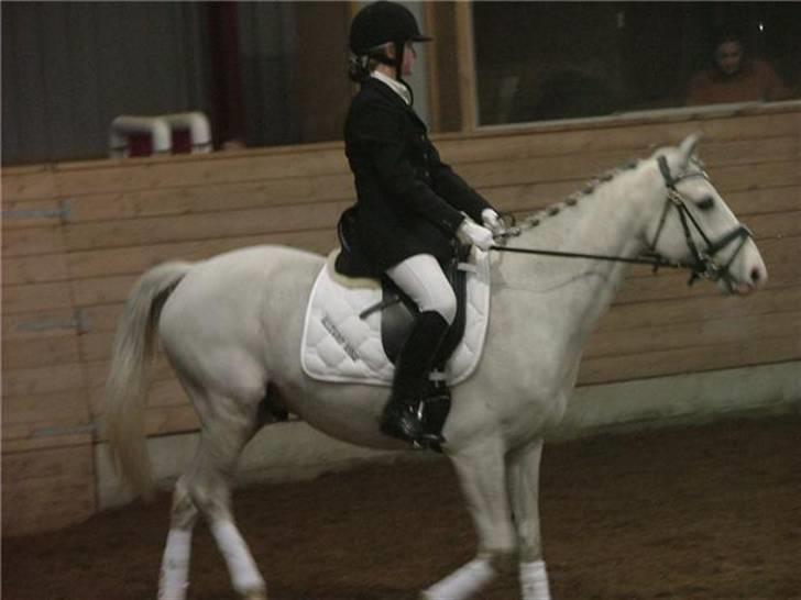 Tysk Sportspony Allegro Assai (Apollo) - Apollo og jeg til stævne på Albertslund rideklub :) billede 11