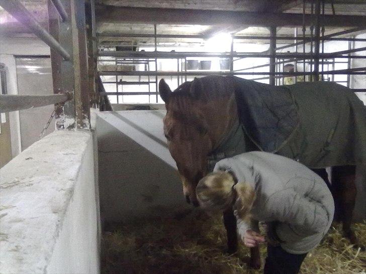 New Forest Simba  - Simba og jeg.  Foto: Signe Hansen billede 17