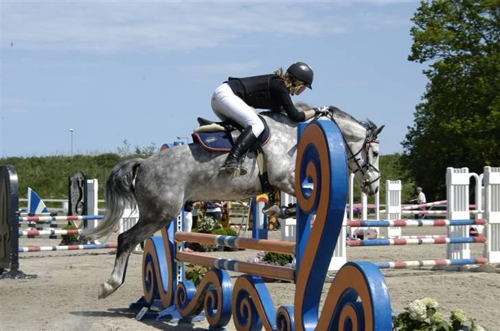 New Forest Firfod Filejs* Springer* SOLGT - Nr. 1 Velkommen til filejs profil(: Jeg rider Filejs for min lille søster da hun ikke kan springe ham endnu (: <3Stævne på HIS :D **NYT** billede 1