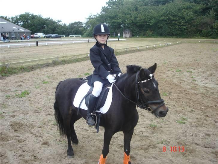 Dartmoor frida Dunemose *solgt billede 10