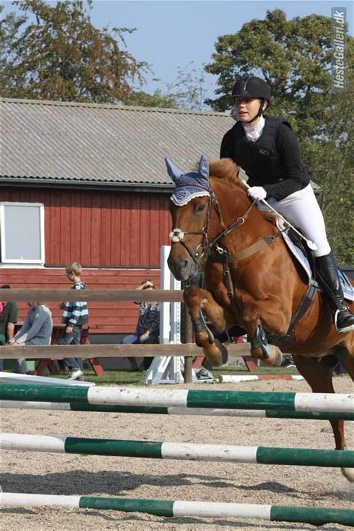 Irsk Sportspony Pimboli  *Solgt* - Mig & Pimboli til stævne i ISR i LC som vi vandt igen & blev klubmestre (: Foto; ABT - foto billede 18