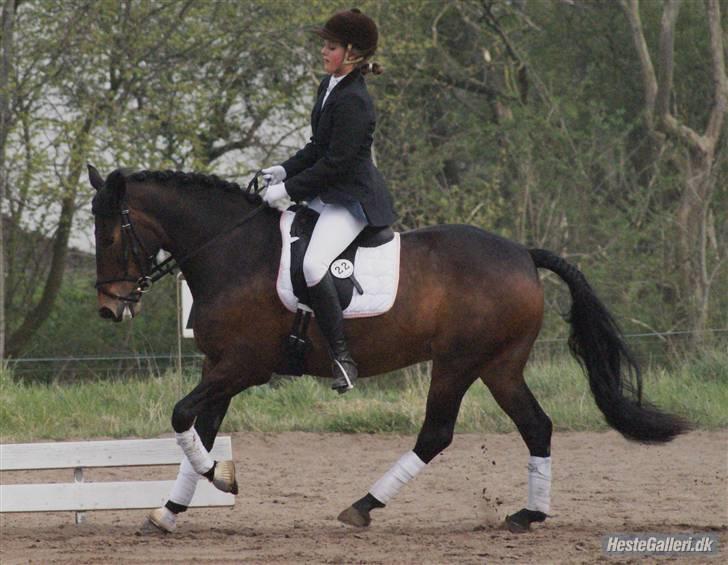 DSP Dine<3 - se Mathilde har gjordt mig til en dresssur pony <33 foto debbi gade... billede 6