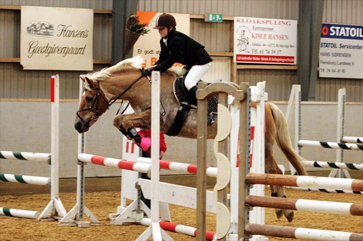 Tyroler Haflinger Anita <3 - LC TRK 09. Foto: Schmølz billede 8