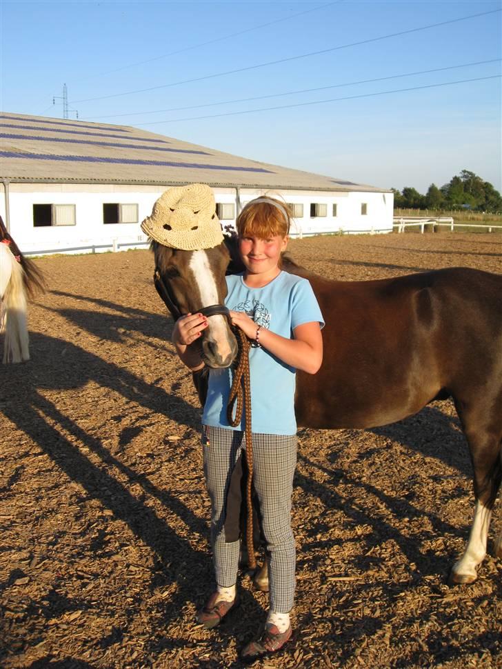 Welsh Pony (sec B) Silver - Striglekonkurrence - Rytterlejr.. Fotograf: Marianne :) billede 4