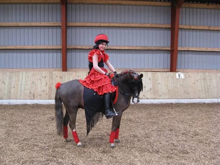 Welsh Pony (sec B) Silver - Fastelavnsstævne.. Fotograf: Min mor :) billede 5