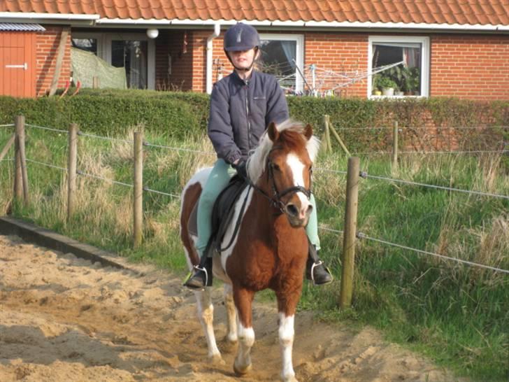 Pinto Pippi billede 10