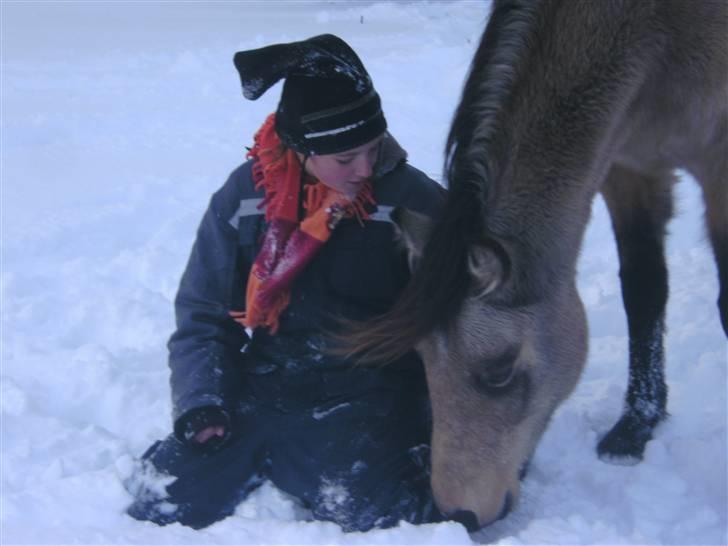 Anden særlig race - Selkis *Mit et og alt!* - den skønneste pony i verden. For bare et halvt år siden var hun bange for mig når jeg kom gående i min flyverdragt. Nu elsker hun den.. :*  billede 4