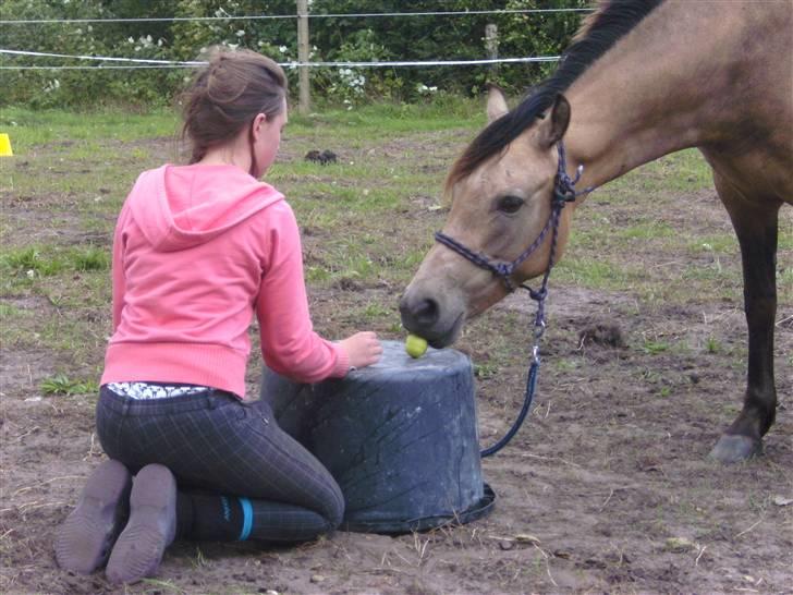 Anden særlig race - Selkis *Mit et og alt!* - min lille prinsessse.  <33 du er der altid for mig.. :j  billede 6