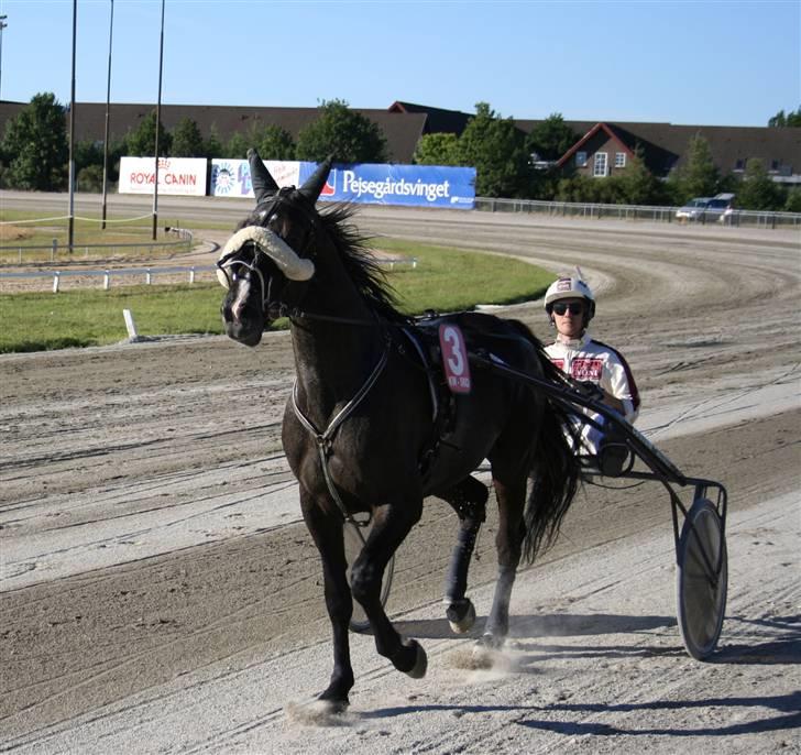 Traver Dylaron billede 1