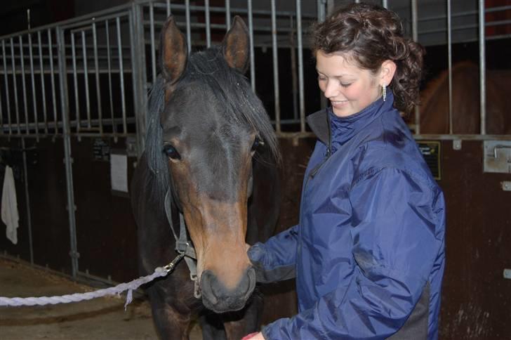 Anden særlig race Columbine  billede 1