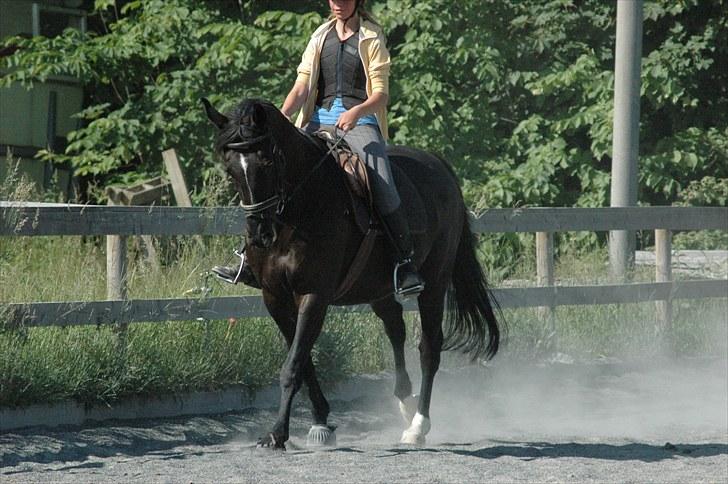 Anden særlig race Magi - Dressur sidste gang jeg red hende - 12 år - Juni 2010 *Foto: Helena* billede 9