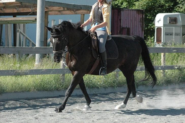 Anden særlig race Magi - Dressur sidste gang jeg red hende - 12 år - Juni 2010 *Foto: Helena* billede 13