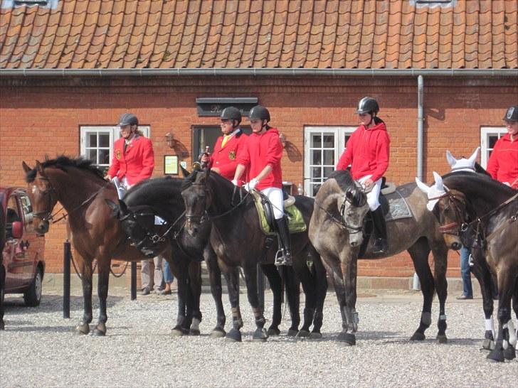 Anden særlig race Mira billede 15