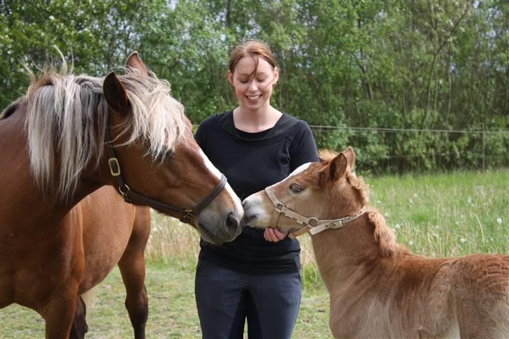 Anden særlig race Pennylane - Mine to skønheder billede 20