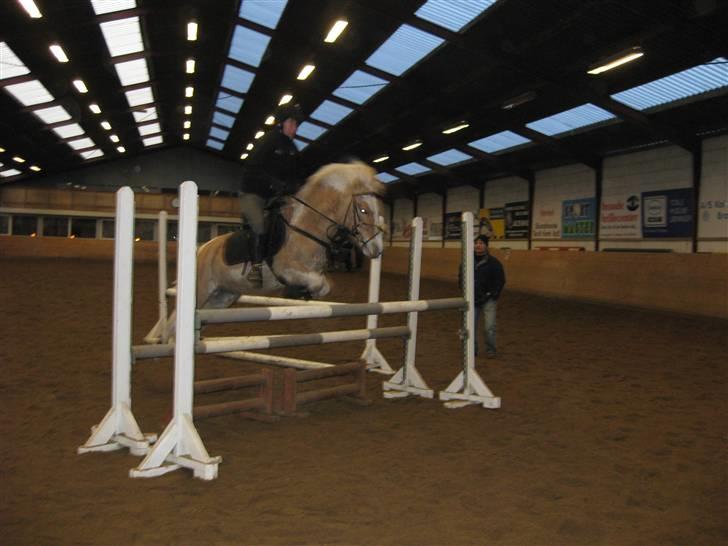 Anden særlig race Bailey  - Mig og bailey til spring (: billede 19