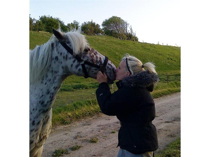 {{currentPhoto.altText}} billede {{currentPhoto.number}}