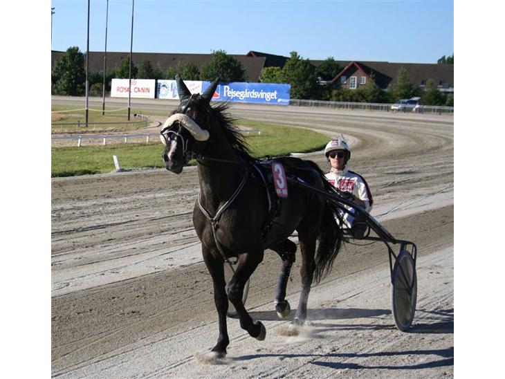 {{currentPhoto.altText}} billede {{currentPhoto.number}}