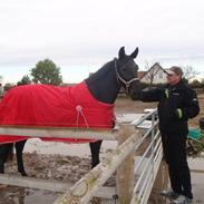 Anden særlig race Black Pearl