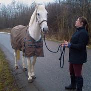 Anden særlig race Oda