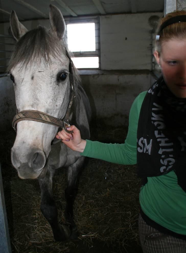 Anden særlig race Shakira   solgt! billede 11