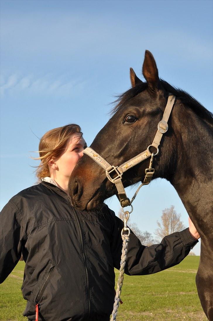Oldenborg Scirocco Noir. - 5) Scirocco og mig på tur. billede 5