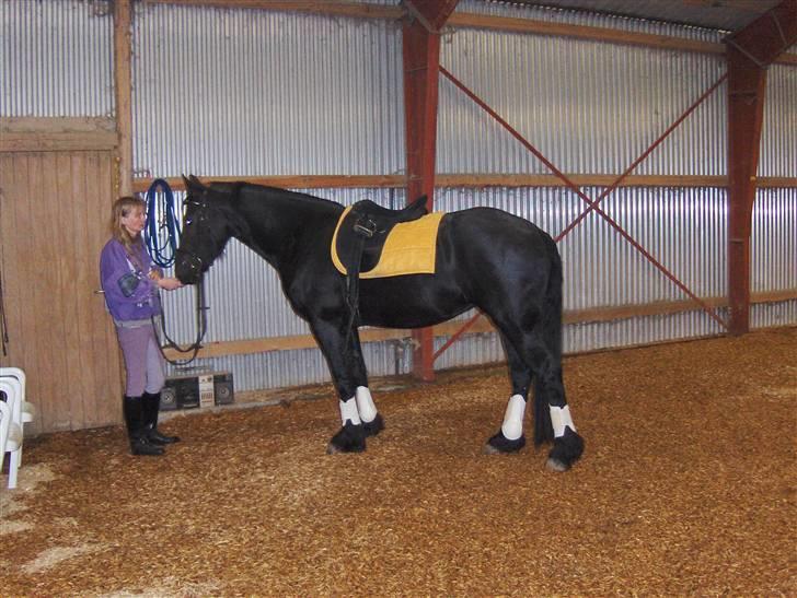 Frieser maike.s "solgt" billede 9