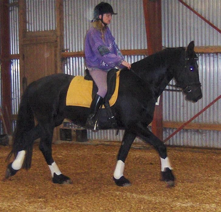 Frieser maike.s "solgt" billede 10