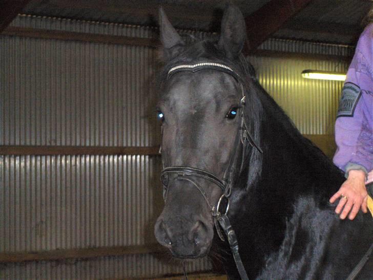 Frieser maike.s "solgt" billede 11