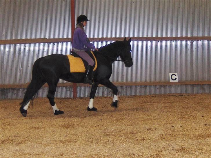 Frieser maike.s "solgt" billede 13