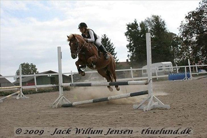 New Forest Casino (Solgt) - Heh´<3 Elsker dig basse (; billede 9