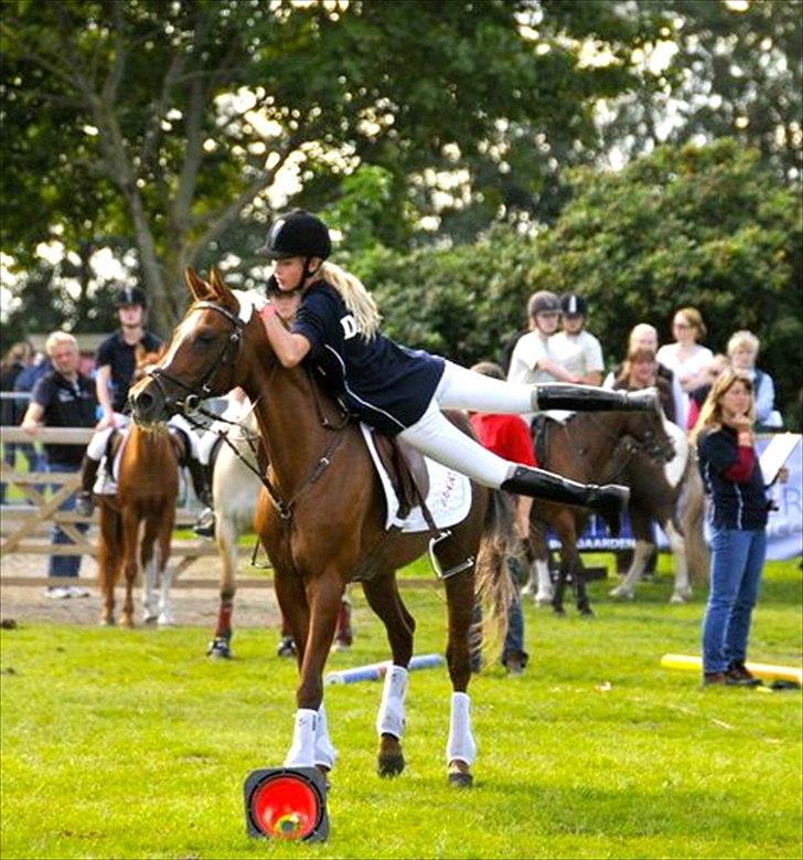 Hollandsk Sportspony Naomi SOLGT - Overskud til at være smuk samtidig :p SM ponygames 2010 <3  billede 4