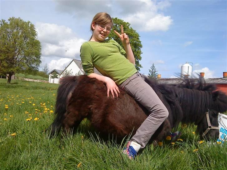 Miniature Lille Rosa* farmors pony* - rå hygge :) billede 7