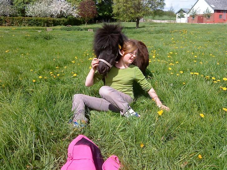 Miniature Lille Rosa* farmors pony* - hygger med julie billede 8