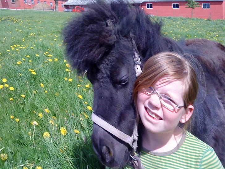 Miniature Lille Rosa* farmors pony* - dejlig varm sol! billede 9