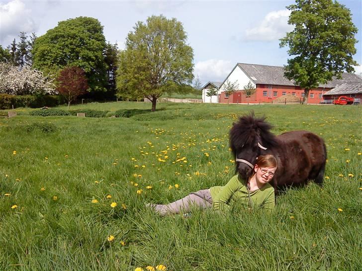 Miniature Lille Rosa* farmors pony* - julie vil gerne sove lidt nu... billede 10