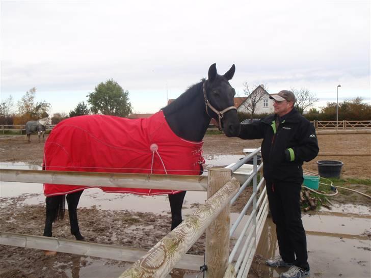 Anden særlig race Black Pearl billede 4