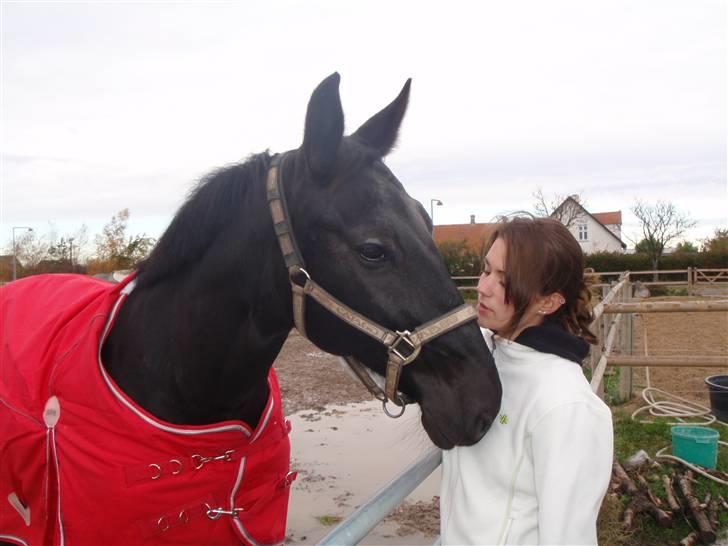 Anden særlig race Black Pearl billede 5